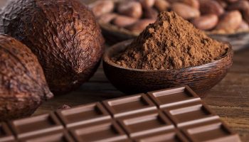 cacao1-solcoagro