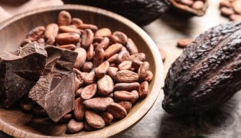 cacao2-solcoagro