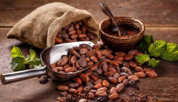 cacao3-solcoagro